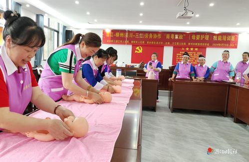 湛江 三項(xiàng)工程 交出亮眼 年中成績單