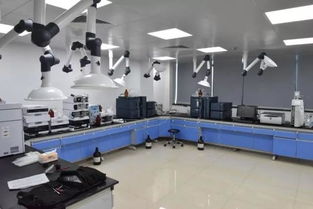 號外！玉環市食品藥品檢驗檢測中心搬家啦，家政服務同步煥新